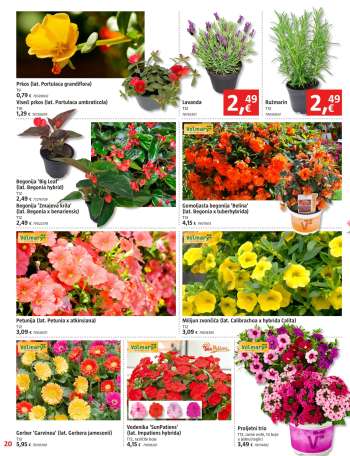 thumbnail - Cvjeće i biljke