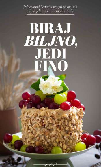 Lidl katalog