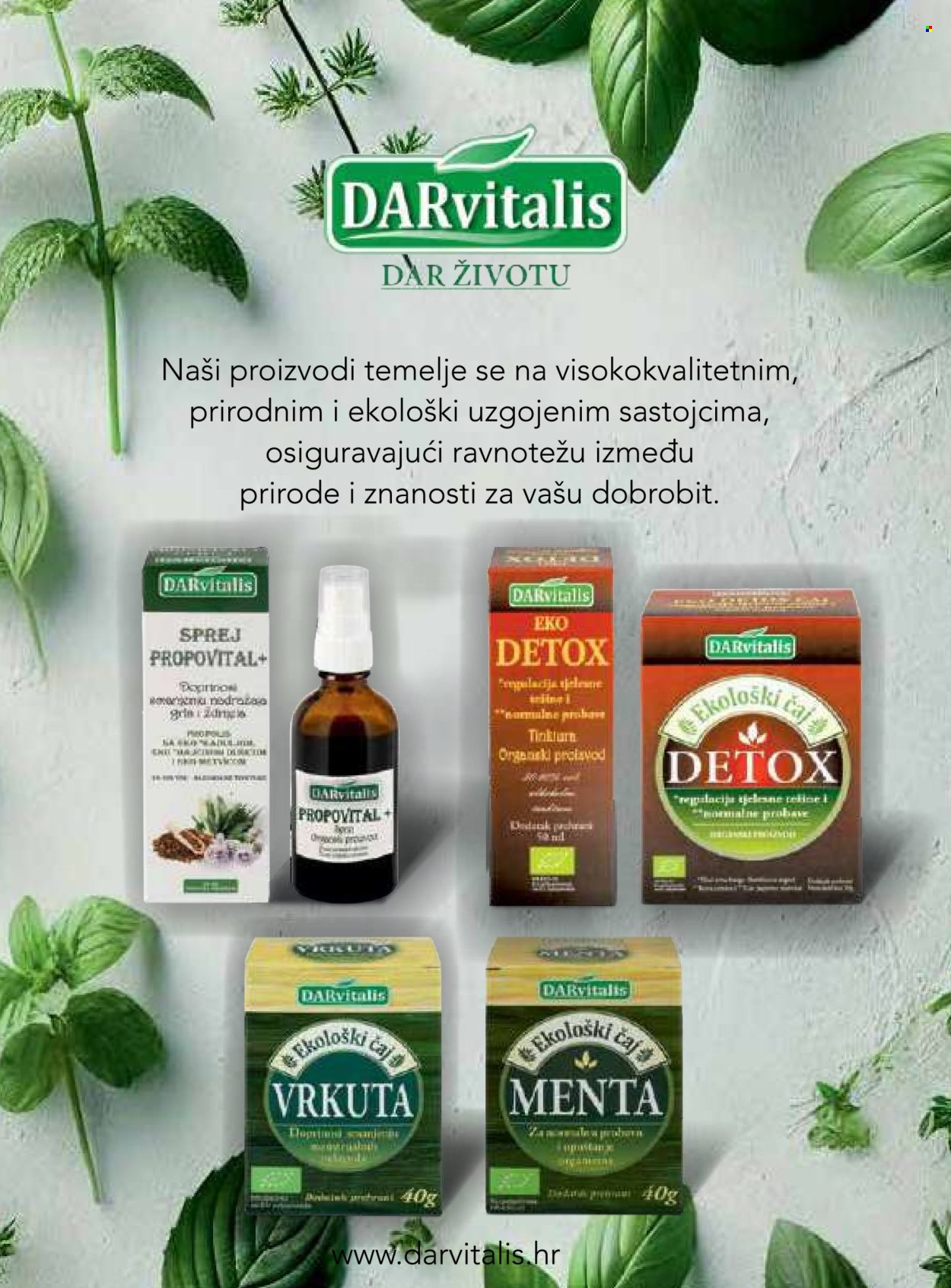 dm katalog Stranica 1