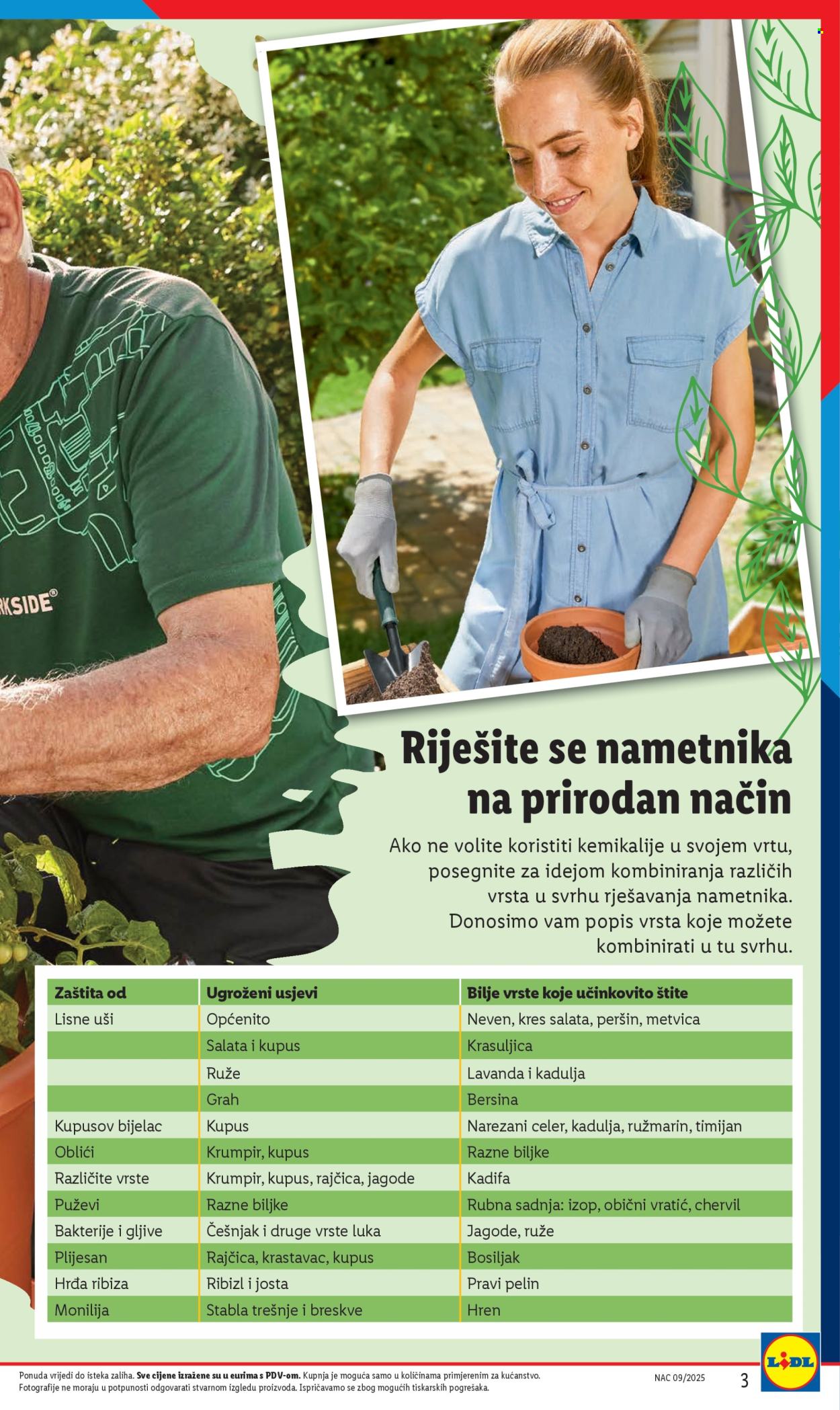 Lidl katalog Stranica 1