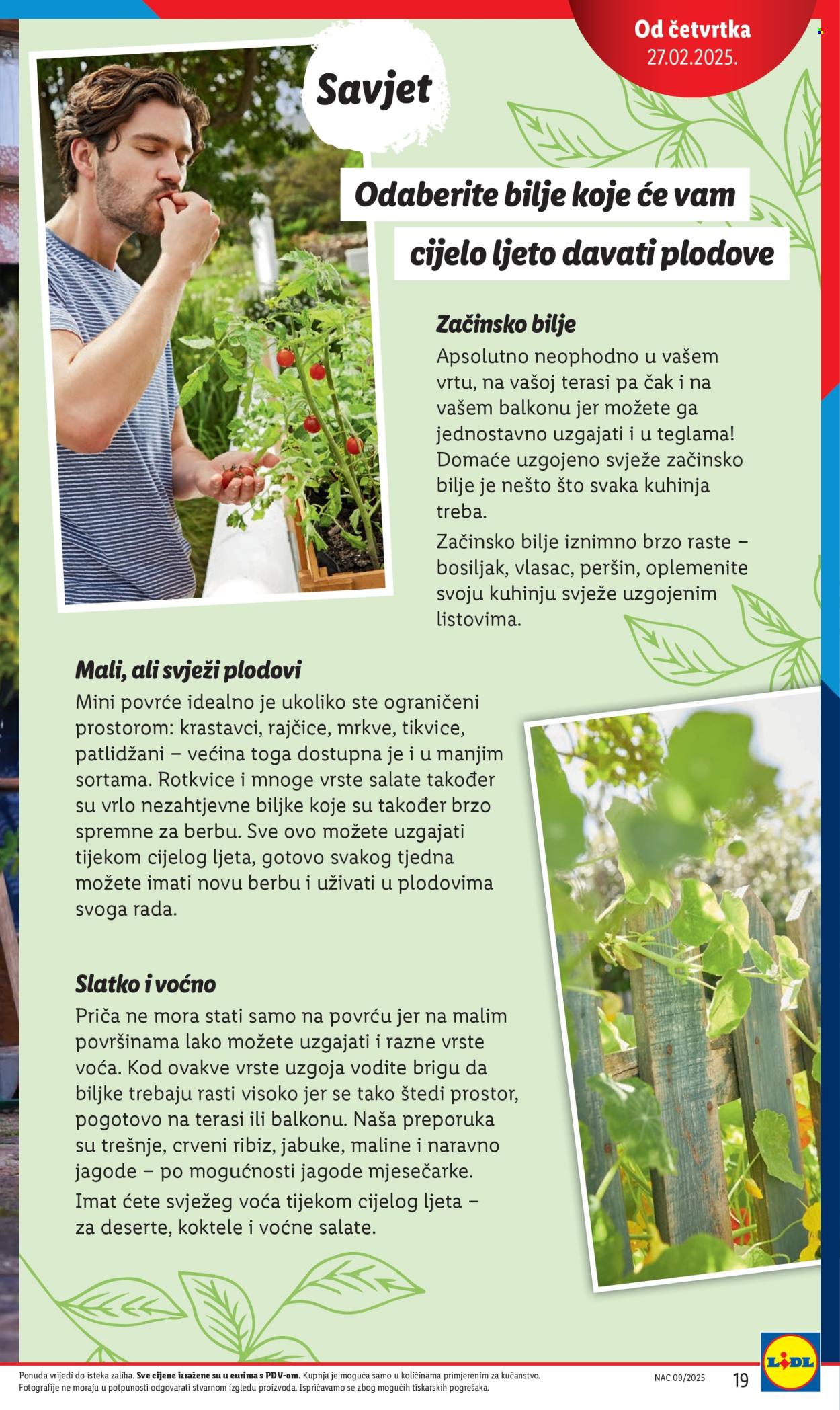 Lidl katalog Stranica 1