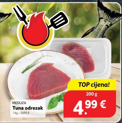 Tuna odrezak