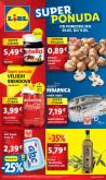 leaflet