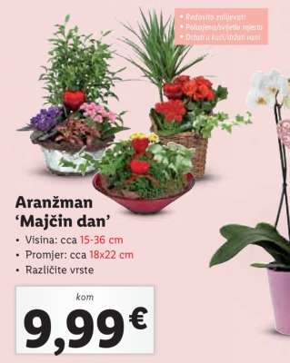 Aranžman Majčin dan