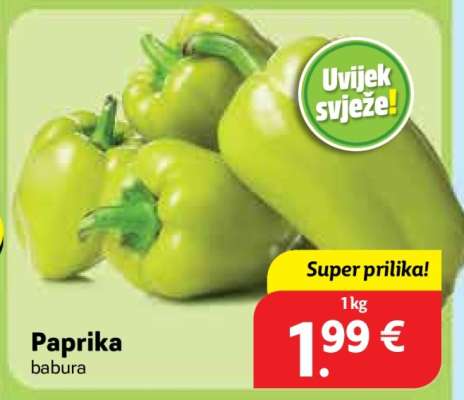 Paprika babura