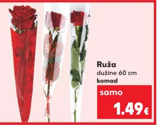 Ruža