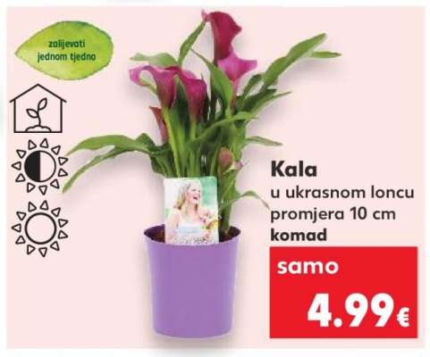 Kala