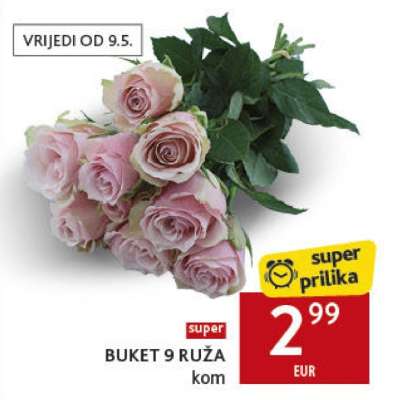 BUKET 9 RUŽA kom
