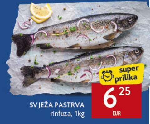 SVJEŽA PASTRVA