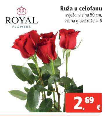 Ruže u celofanu