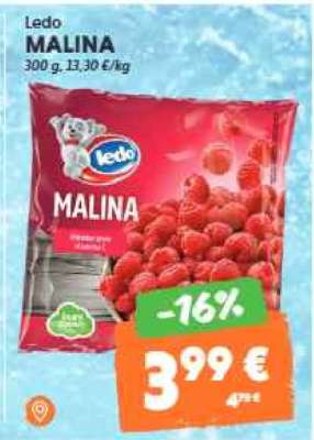 LEDO Malina