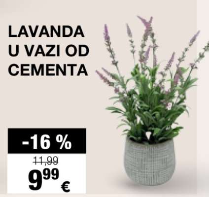 LAVANDA U VAZI OD CEMENTA
