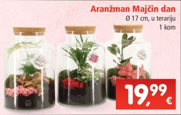 Aranžman Majčin dan