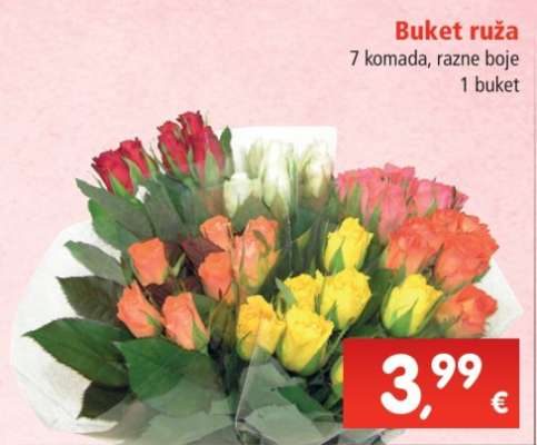 Buket ruža