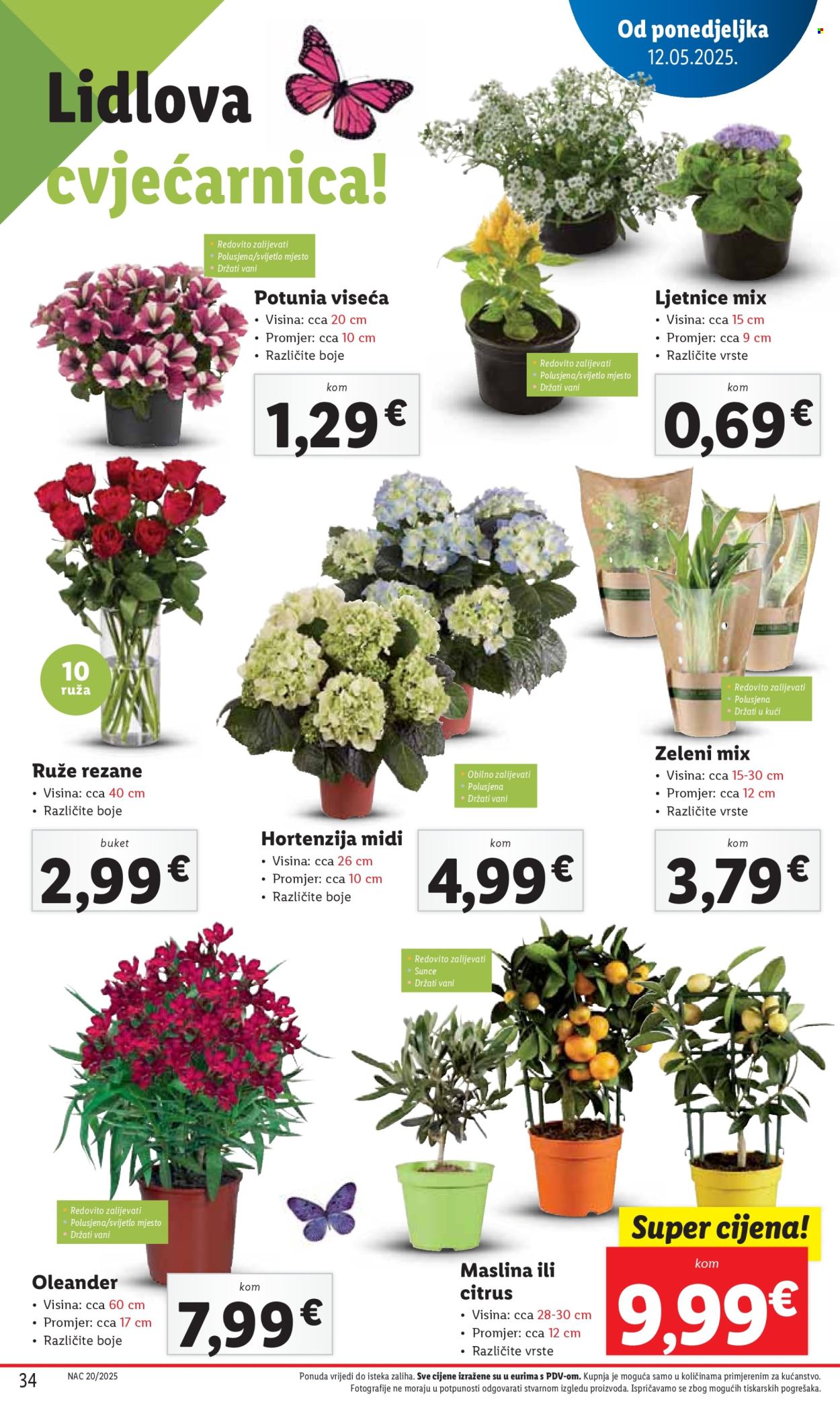 Lidl katalog - 12.05.2025. - 18.05.2025. Stranica 1