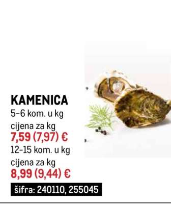 KAMENICA