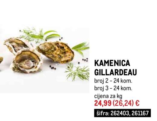 KAMENICA GILLARDEAU