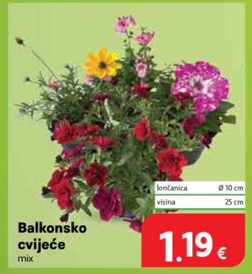 Balkonsko cvijeće mix