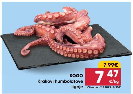 KOGO Krakovi humboldtove lignje