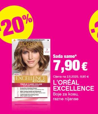 L'OREAL EXCELLENCE