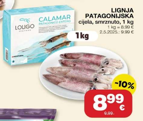 Lignja patagonijska