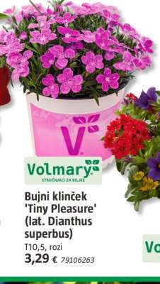 Volmary