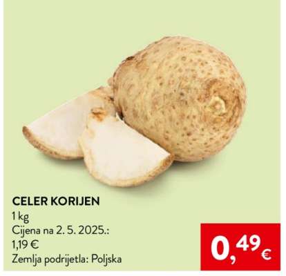 Celer korijen