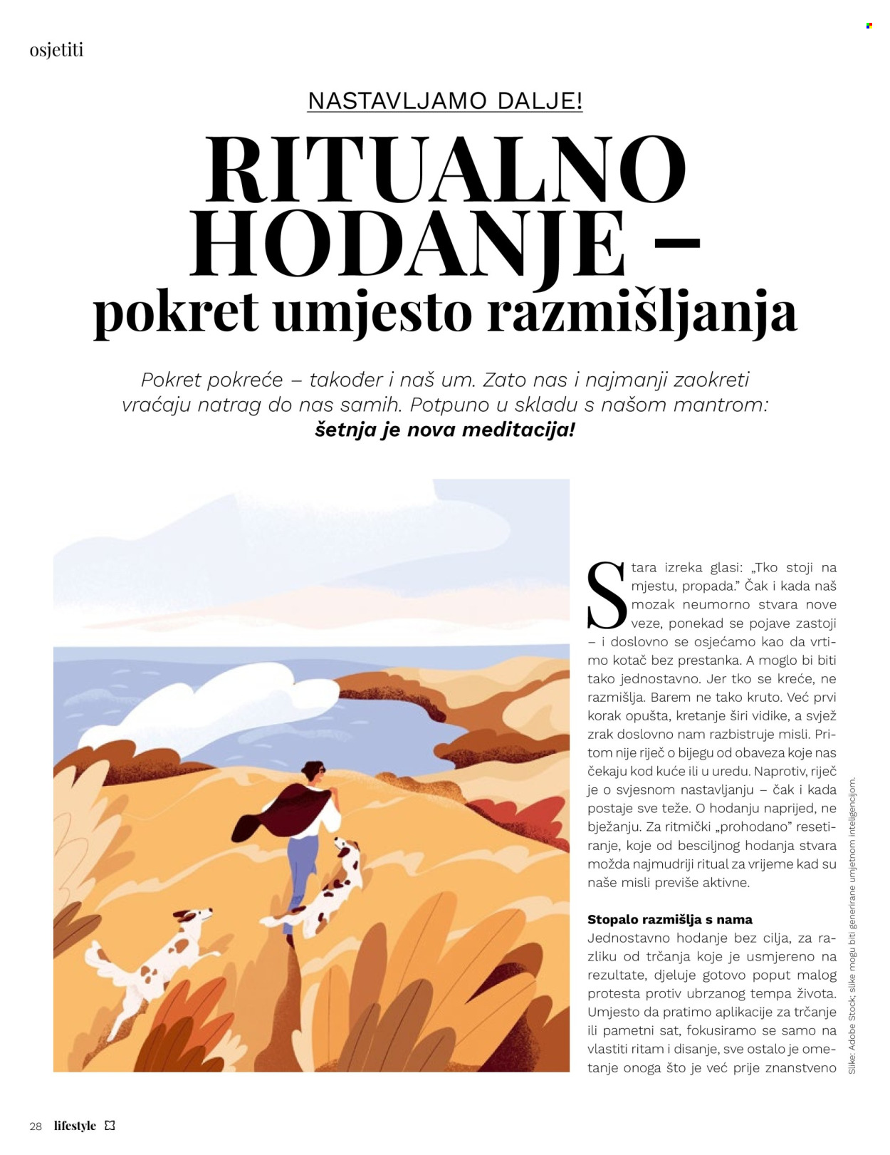Müller katalog Stranica 28