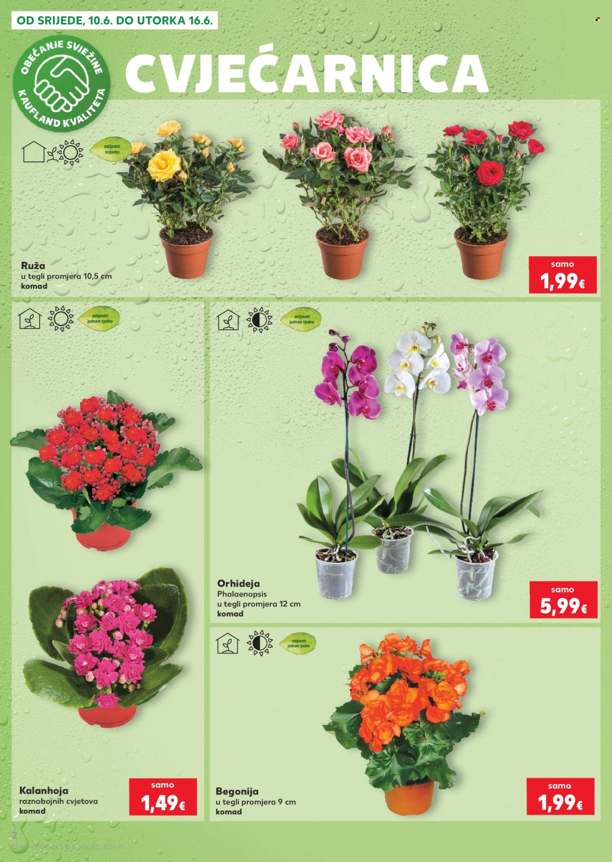 Kaufland katalog - 10.06.2026. - 16.06.2026. Stranica 2
