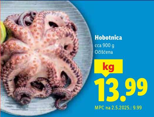 Hobotnica