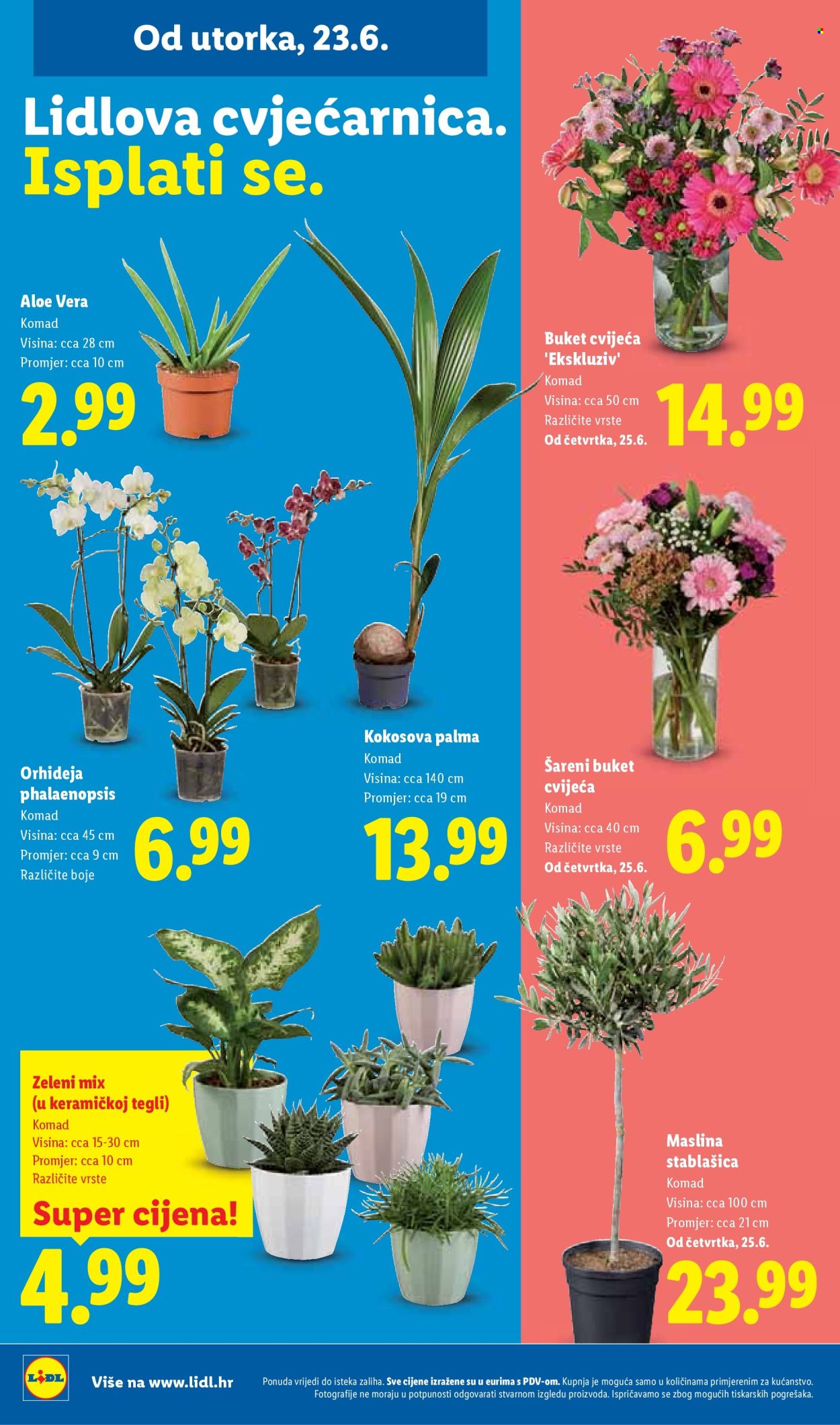 Leták Lidl - 23.6.2026 - 28.6.2026. Strana 50