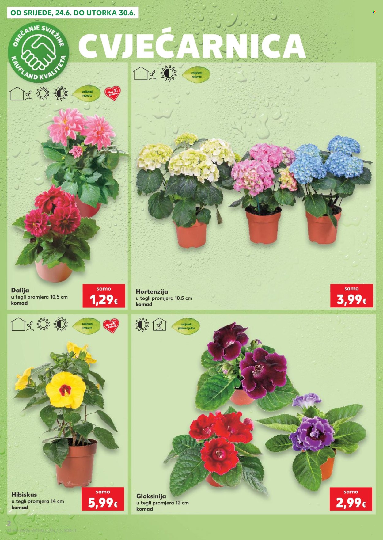 Leták Kaufland - 24.6.2026 - 30.6.2026. Strana 2