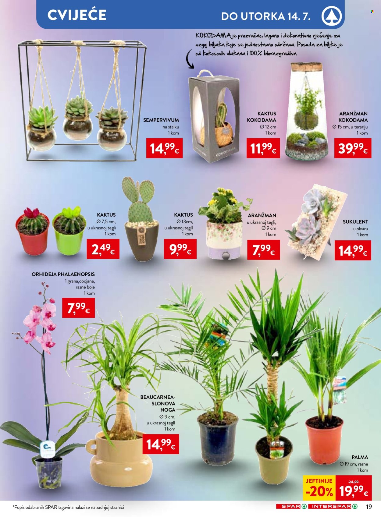 INTERSPAR katalog - 01.07.2026. - 07.07.2026. Stranica 33