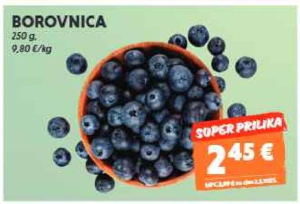 Borovnica