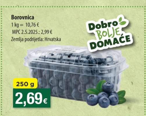 Borovnica