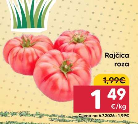 Rajčica roza