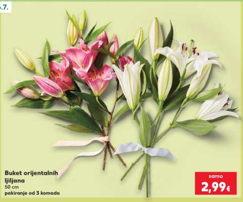 Buket orijentalnih ljiljana