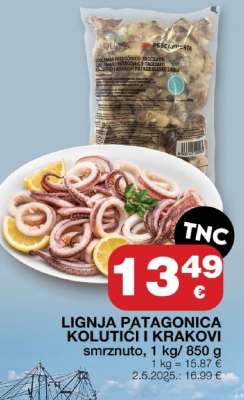 LIGNJA PATAGONICA KOLUTICI I KRAKOVI