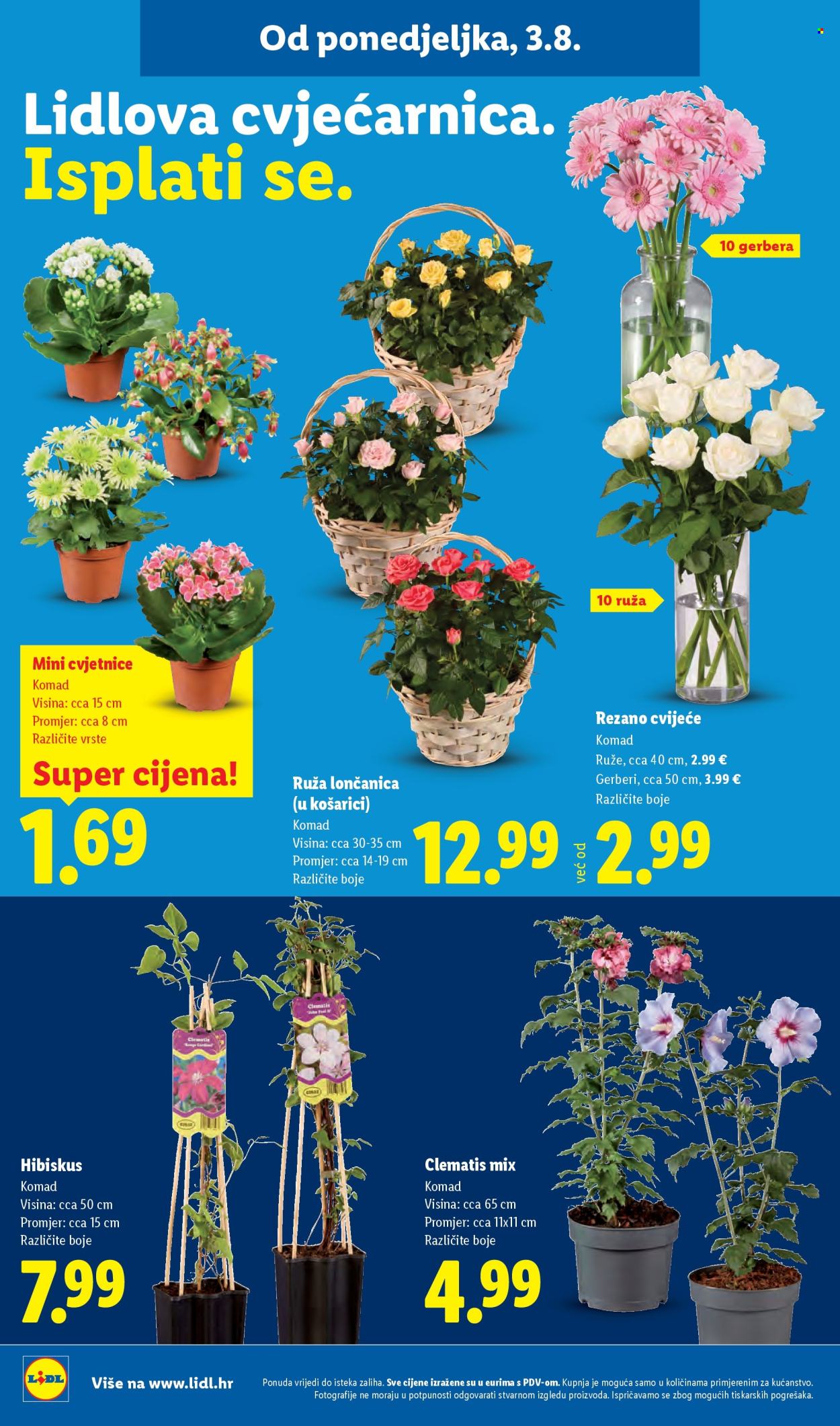 Lidl katalog - 03.08.2026. - 09.08.2026. Stranica 50