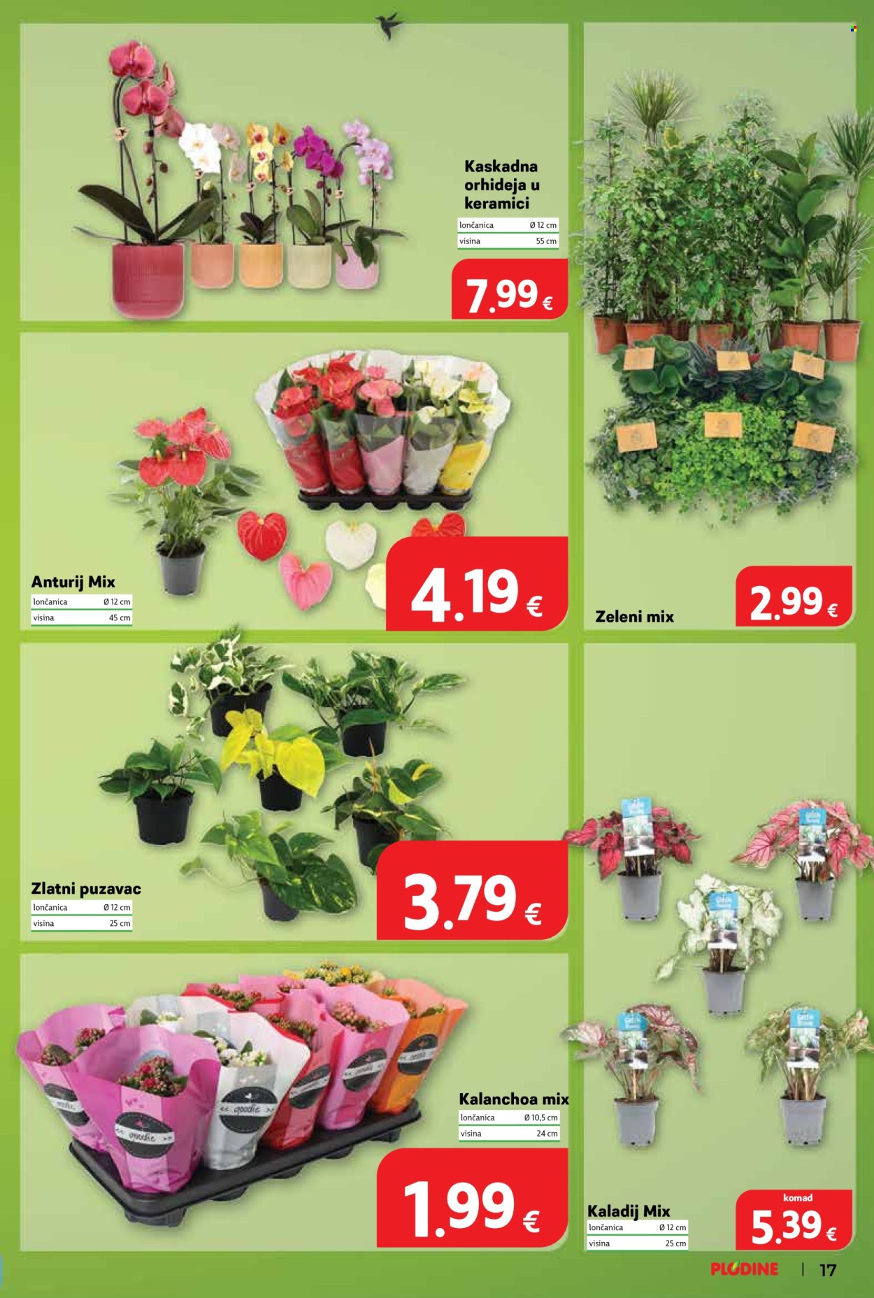 Plodine katalog - 06.08.2026. - 11.08.2026. Stranica 17