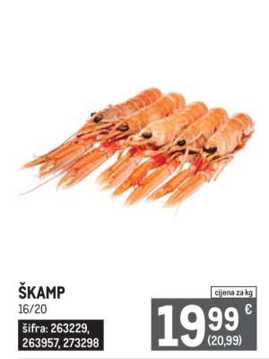 ŠKAMP