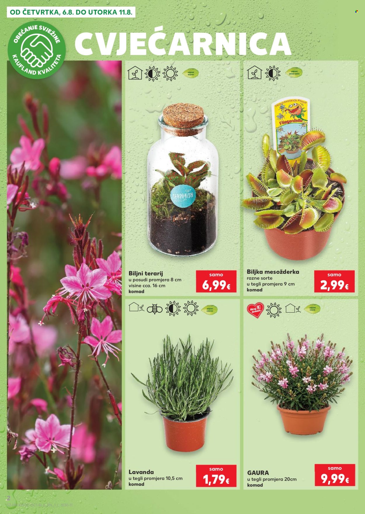 Kaufland katalog - 06.08.2026. - 11.08.2026. Stranica 2
