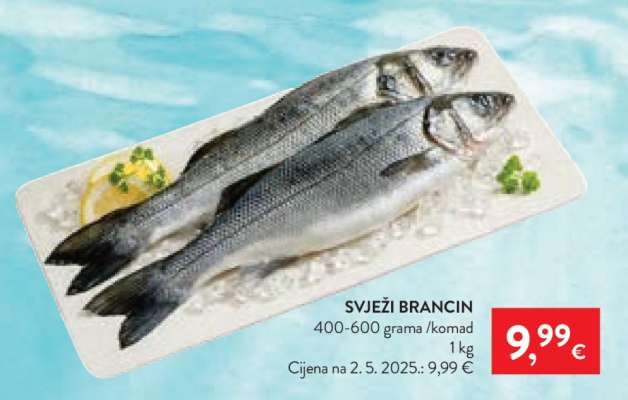 Svježi brancin