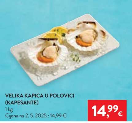 VELIKA KAPICA U POLOVICI (KAPESANTE)