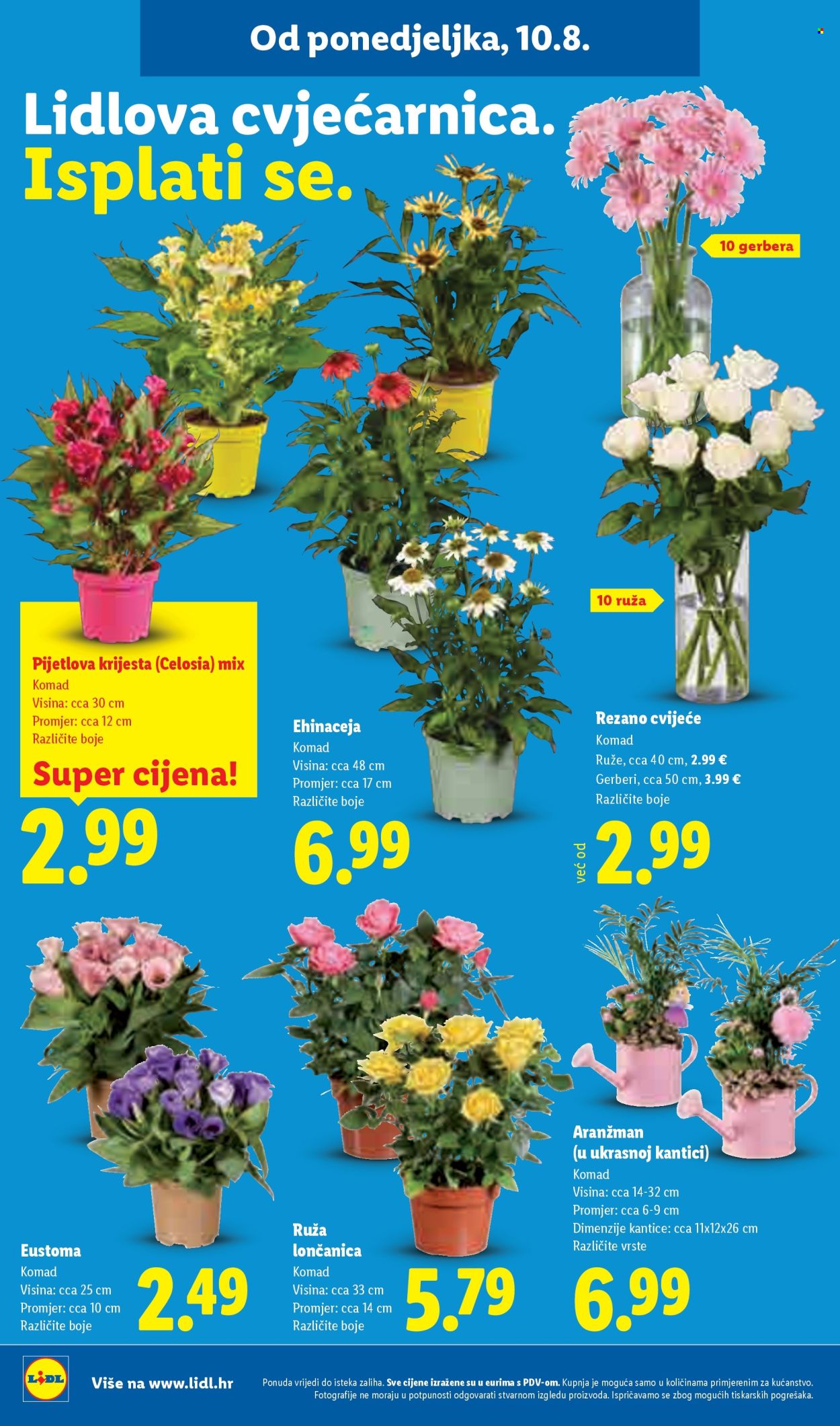 Lidl katalog - 10.08.2026. - 16.08.2026. Stranica 50