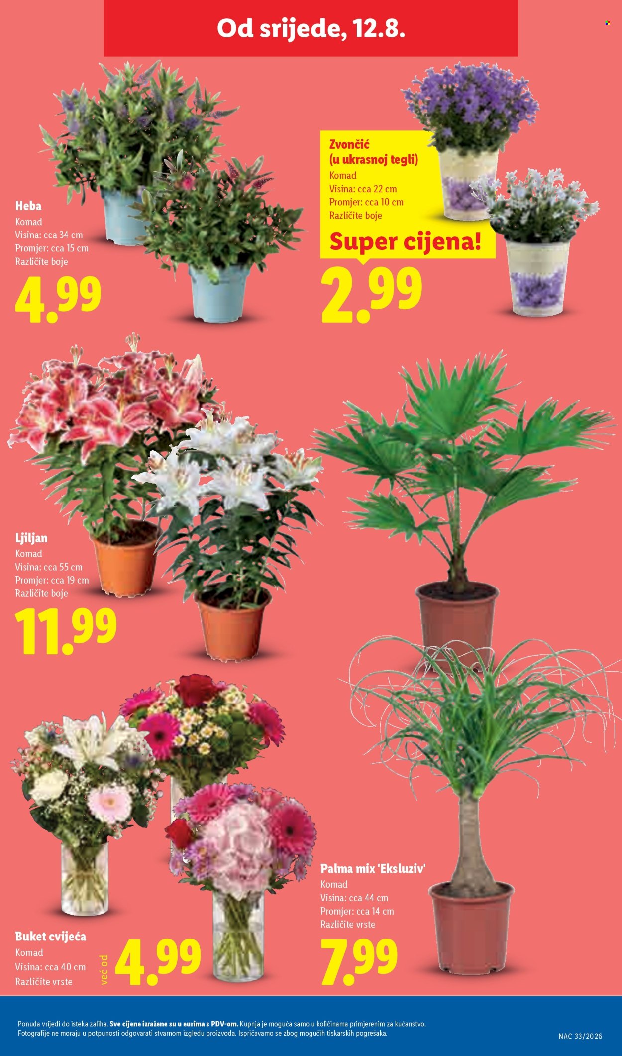 Lidl katalog - 10.08.2026. - 16.08.2026. Stranica 51