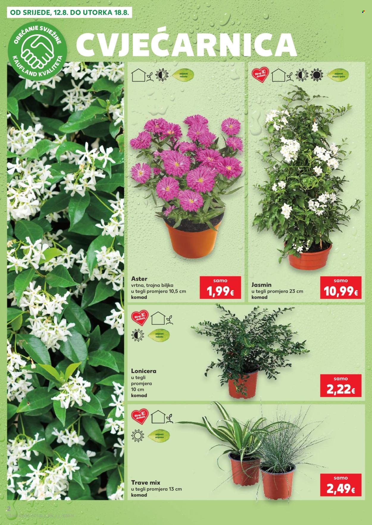 Kaufland katalog - 12.08.2026. - 18.08.2026. Stranica 2