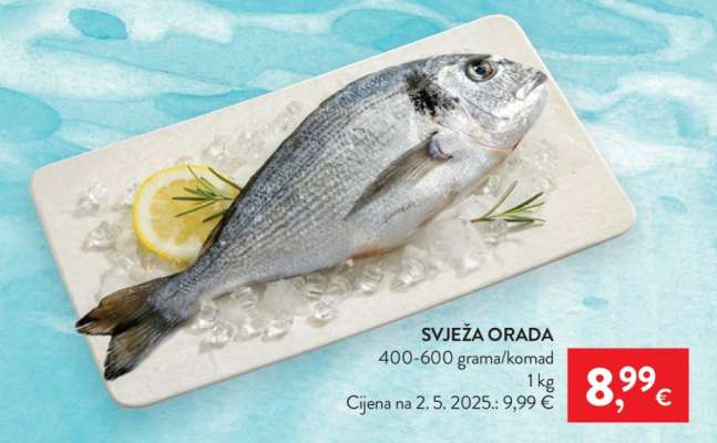 Svježa orada
