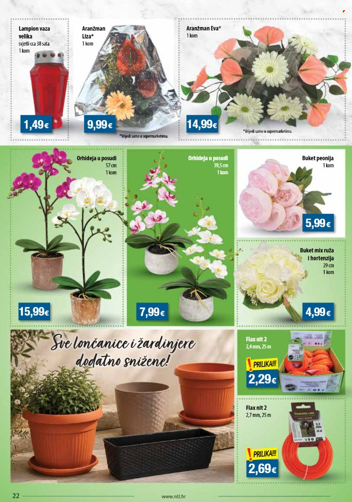 NTL katalog - 12.08.2026. - 18.08.2026. Stranica 23