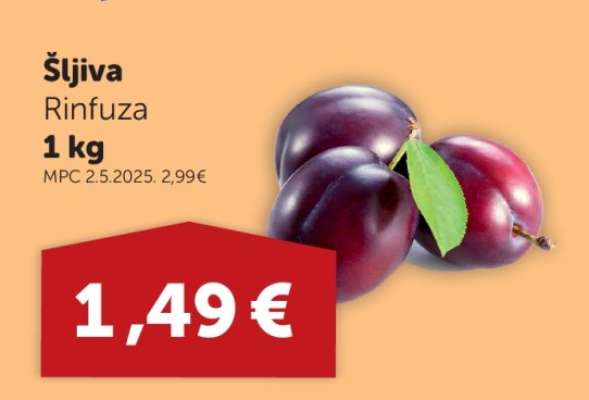 Šljiva